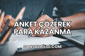 Anket Çözerek Para Kazanma