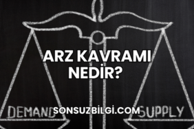 Arz Kavramı Nedir?