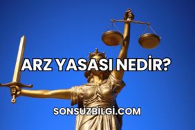 Arz Yasası Nedir?