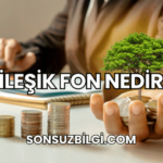 Bileşik Fon Nedir?