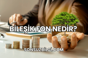 Bileşik Fon Nedir?
