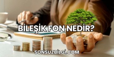 Bileşik Fon Nedir?