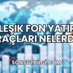 Bileşik Fon Yatırım Araçları Nelerdir?
