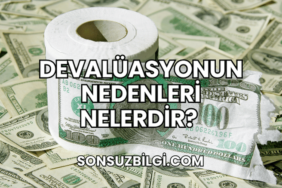 Devalüasyonun Nedenleri Nelerdir?