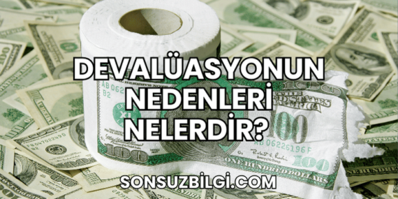 Devalüasyonun Nedenleri Nelerdir?