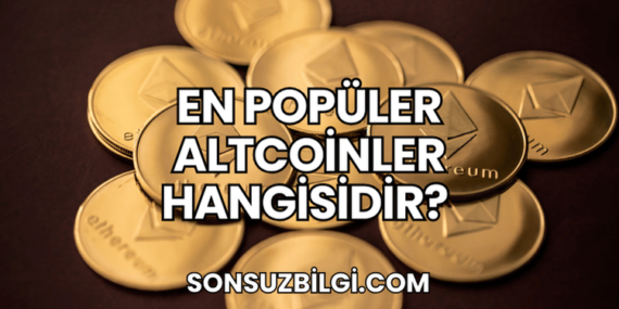 En Popüler Altcoinler Hangisidir?