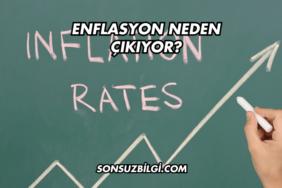 Enflasyon Neden Çıkıyor?