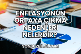 Enflasyonun Ortaya Çıkma Nedenleri Nelerdir?
