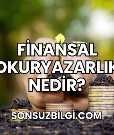 Finansal Okuryazarlık Nedir?