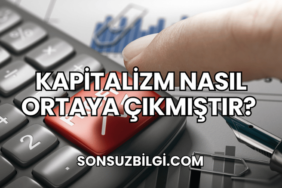 Kapitalizm Nasıl Ortaya Çıkmıştır?