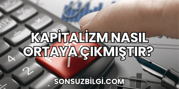 Kapitalizm Nasıl Ortaya Çıkmıştır?