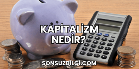 Kapitalizm Nedir?