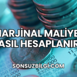 Marjinal Maliyet Nasıl Hesaplanır?