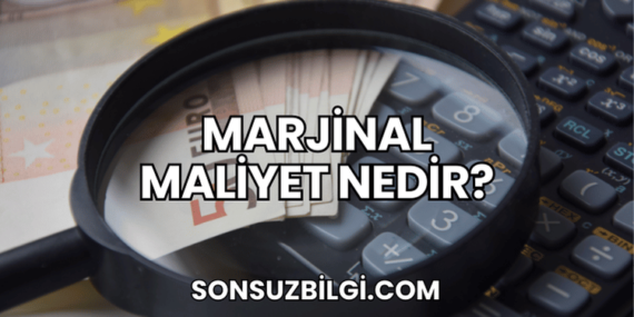 Marjinal Maliyet Nedir?
