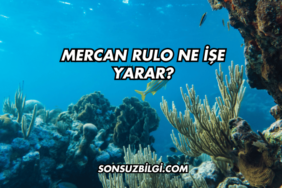 Mercan Rulo Ne İşe Yarar?