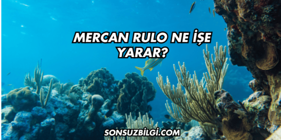 Mercan Rulo Ne İşe Yarar?