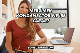 Mercimek Kondansatör Ne İşe Yarar?