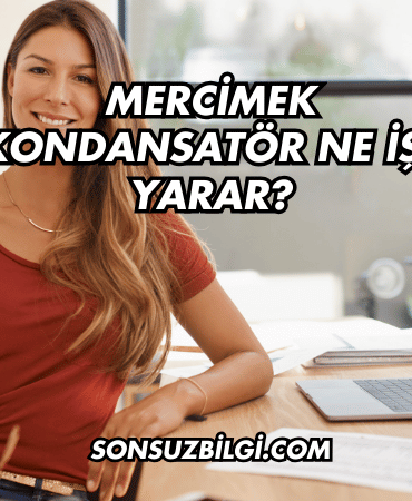 Mercimek Kondansatör Ne İşe Yarar?