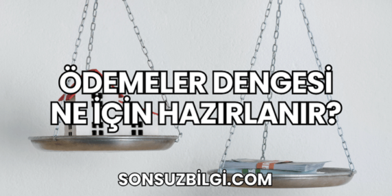 Ödemeler Dengesi Ne İçin Hazırlanır?