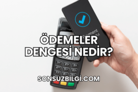 Ödemeler Dengesi Nedir?