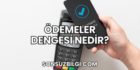 Ödemeler Dengesi Nedir?