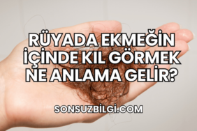 Rüyada Ekmeğin İçinde Kıl Görmek Ne Anlama Gelir?