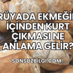 Rüyada Ekmeğin İçinden Kurt Çıkması Ne Anlama Gelir?