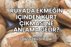 Rüyada Ekmeğin İçinden Kurt Çıkması Ne Anlama Gelir?