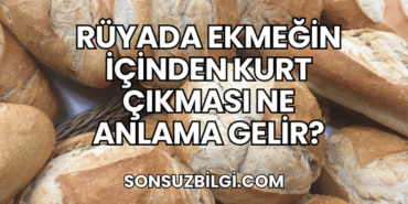 Rüyada Ekmeğin İçinden Kurt Çıkması Ne Anlama Gelir?