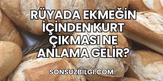 Rüyada Ekmeğin İçinden Kurt Çıkması Ne Anlama Gelir?