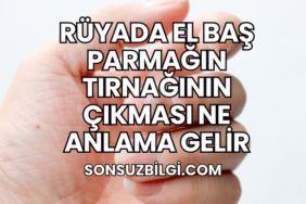 Rüyada El Baş Parmağın Tırnağının Çıkması Ne Anlama Gelir