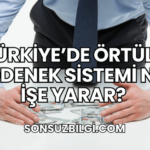 Türkiye’de Örtülü Ödenek Sistemi Ne İşe Yarar?