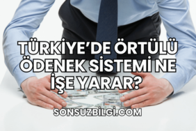 Türkiye’de Örtülü Ödenek Sistemi Ne İşe Yarar?