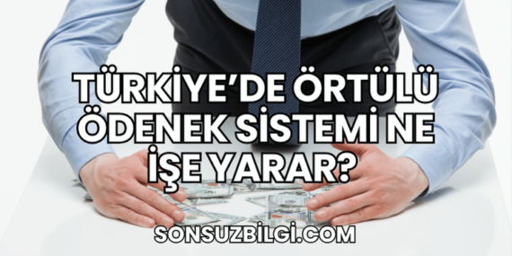 Türkiye’de Örtülü Ödenek Sistemi Ne İşe Yarar?
