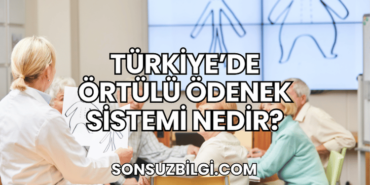 Türkiye'de Örtülü Ödenek Sistemi Nedir?