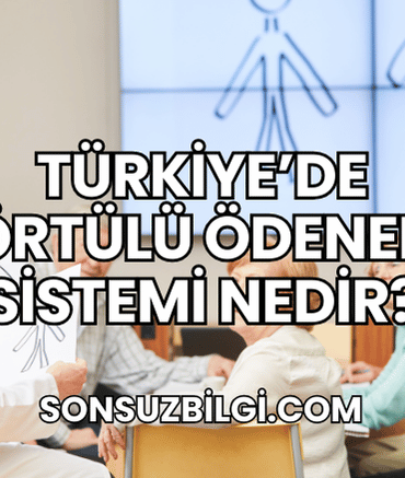 Türkiye'de Örtülü Ödenek Sistemi Nedir?