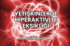 Yetişkinlerde Hiperaktivite Eksikliği