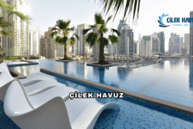 Çilek Havuz Hakkında