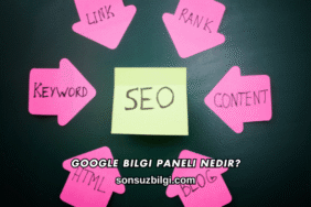 Google Bilgi Paneli Nedir?