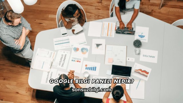 Google Bilgi Paneli Nedir?